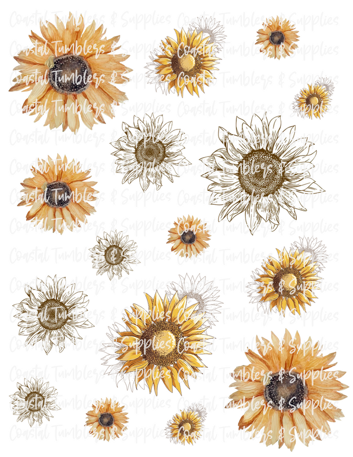 Golden Sunflowers